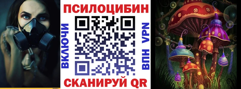 Псилоцибиновые грибы Psilocybe  Купить закладки  Суровикино 